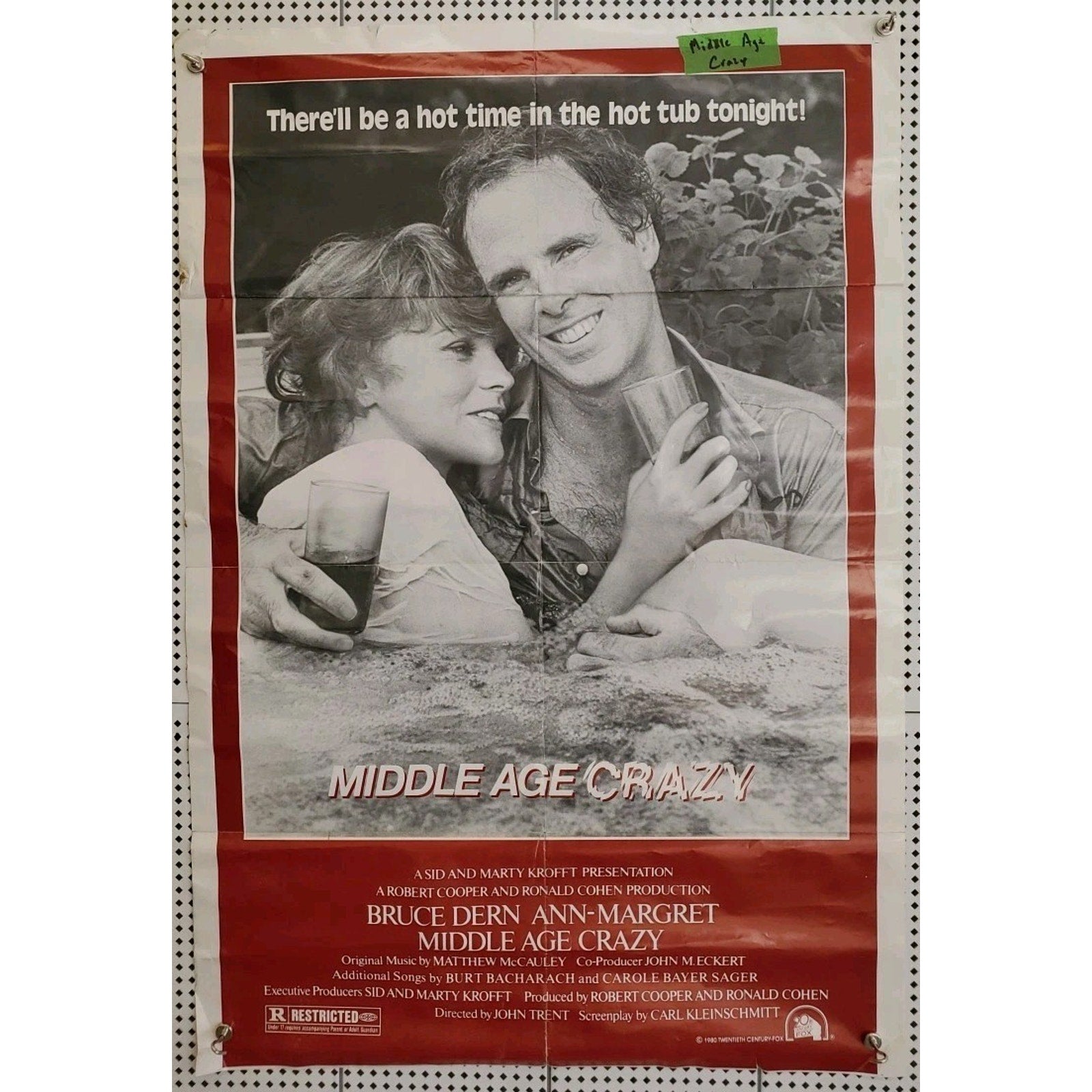Middle Age Crazy Movie Poster Ann Margret Bruce Dern 27x40