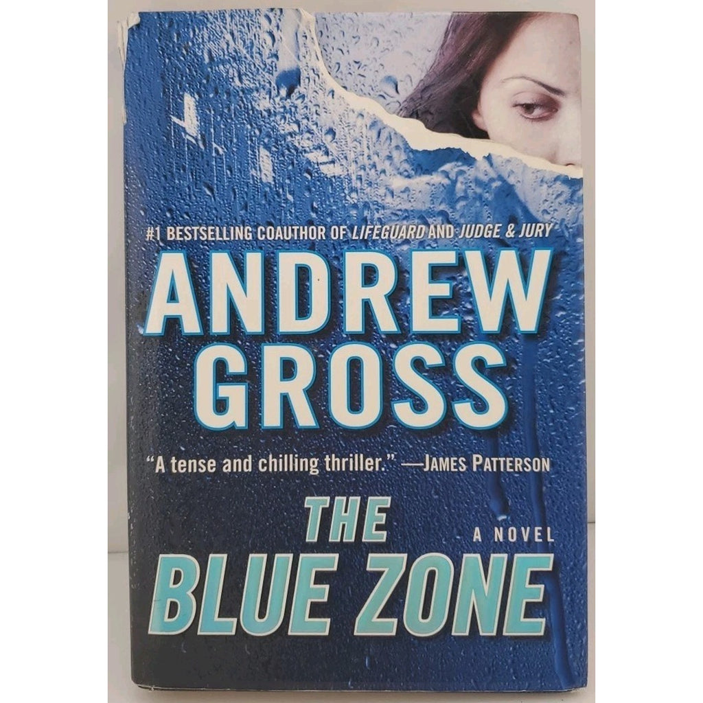 Blue Zone by Andrew Gross (2007, Hardcover)