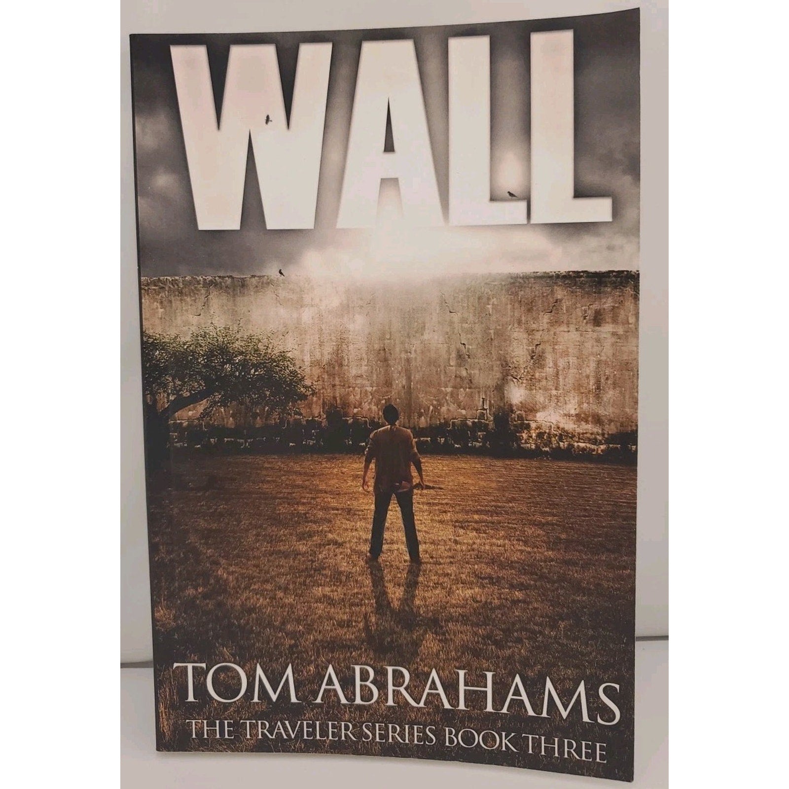 Wall by Tom Abrahams (2016, Trade Paperback)