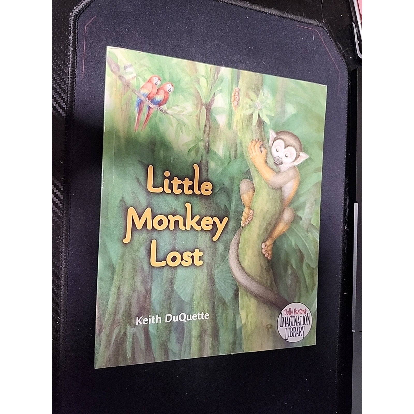 Little Monkey Lost - Paperback By DuQuette, Keith