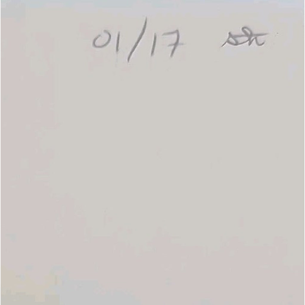 Big Dig by Linda Barnes (2002, Hardcover)