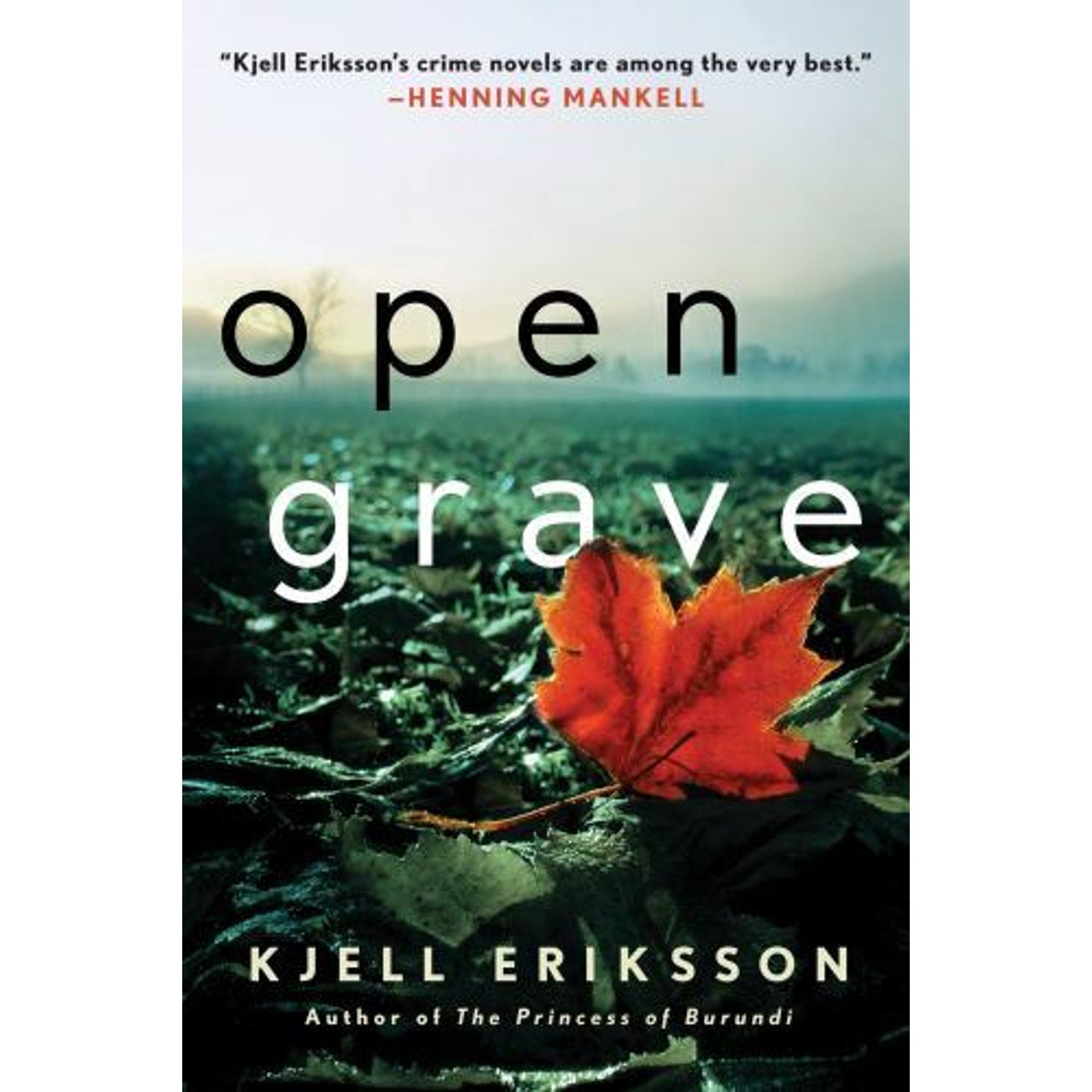 Ann Lindell Mysteries Ser.: Open Grave : A Mystery by Kjell Eriksson (2016,...