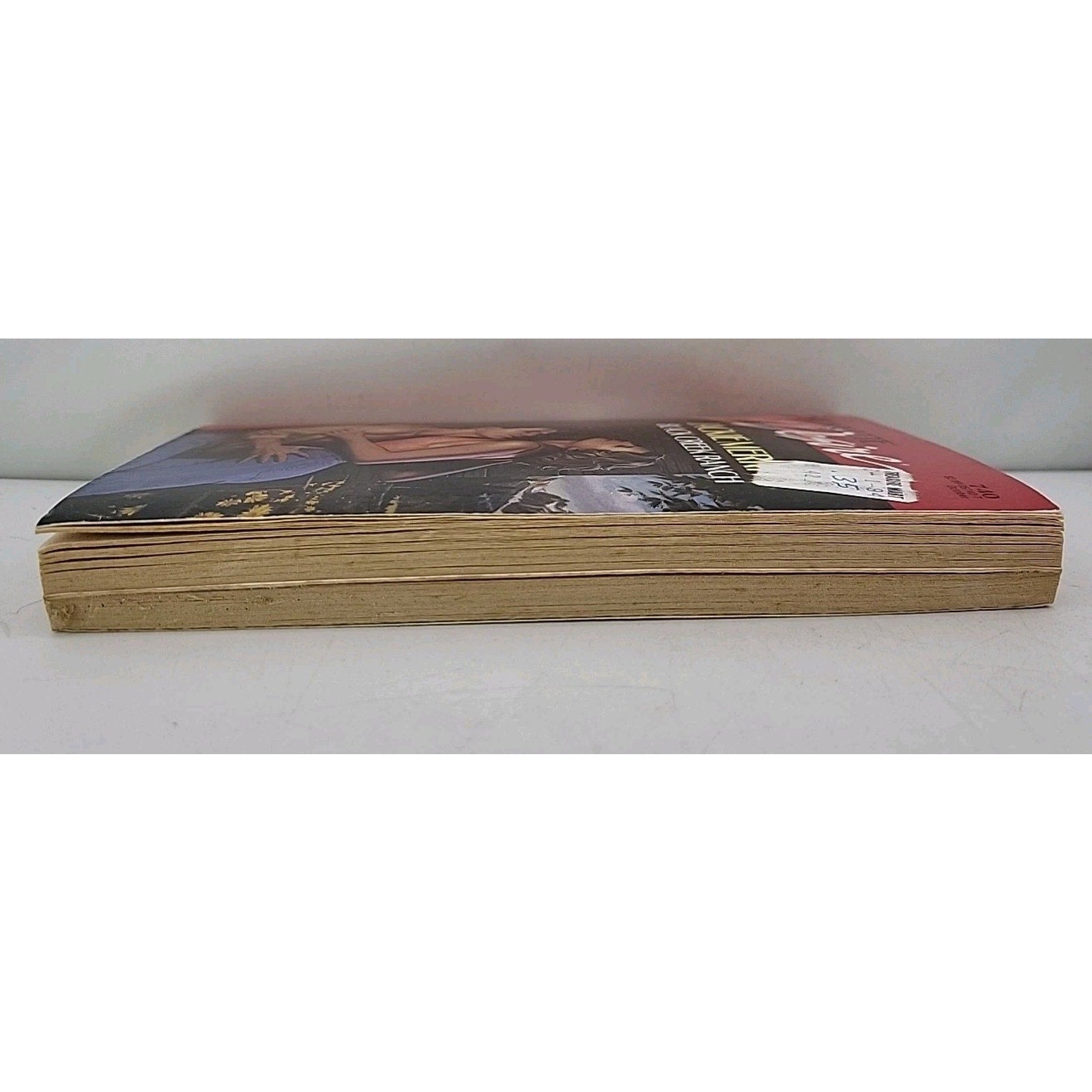Black Creek Ranch by Jackie Merritt (1992, Mass Market)
