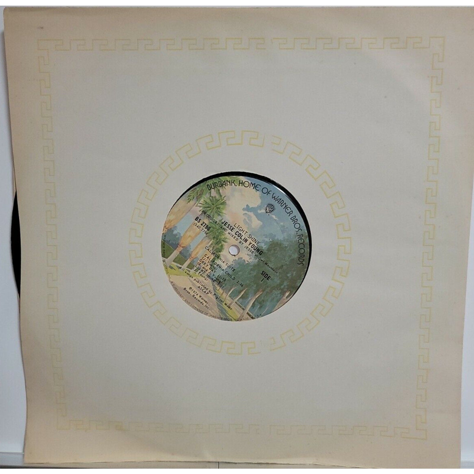 Jesse Colin Young - Light Shine - Vinyl Record - c7350c