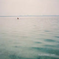 Swim by Blue Cranes (CD, 2013)
