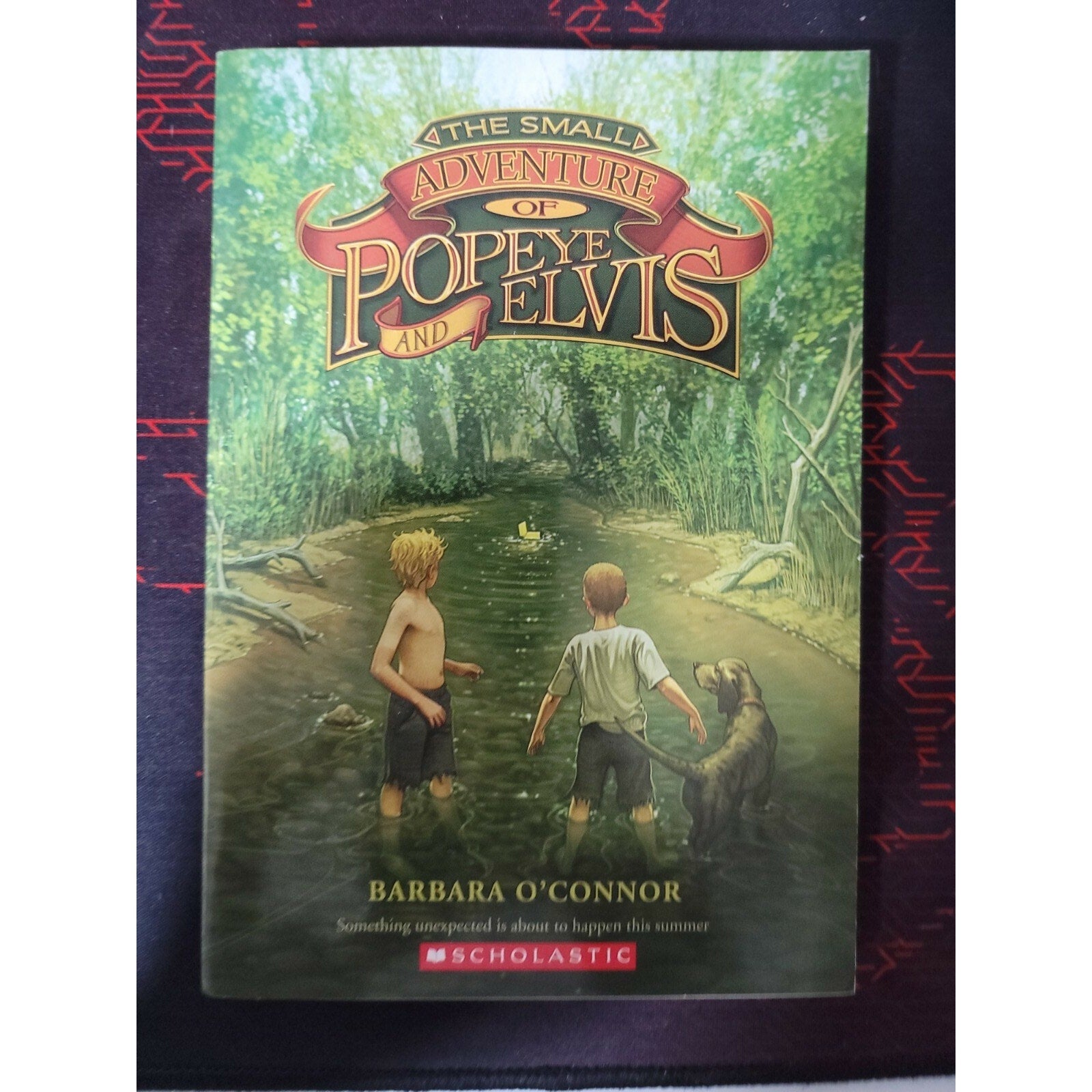 The Small Adventure of Popeye and Elvis Barbara O'Connor