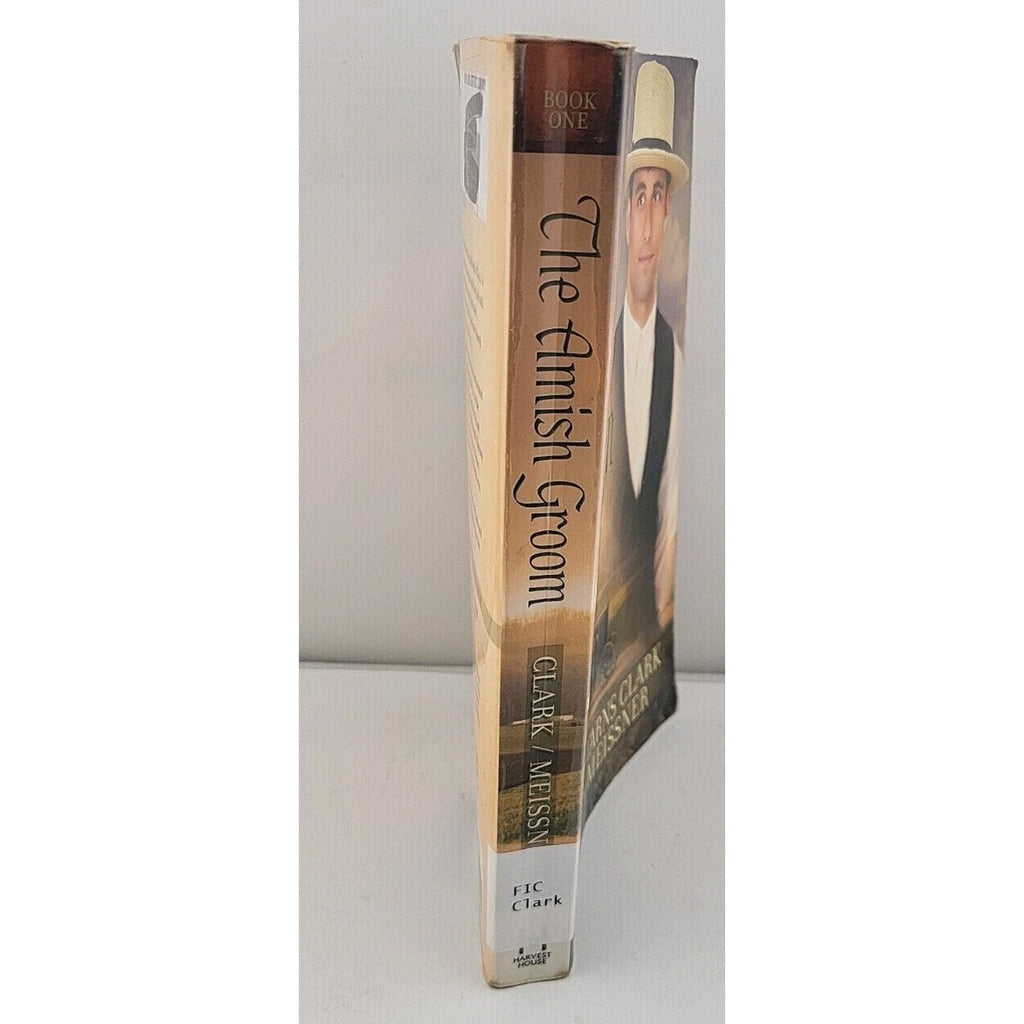 Amish Groom by Mindy Starns Clark and Susan Meissner (2014, Trade Paperback)