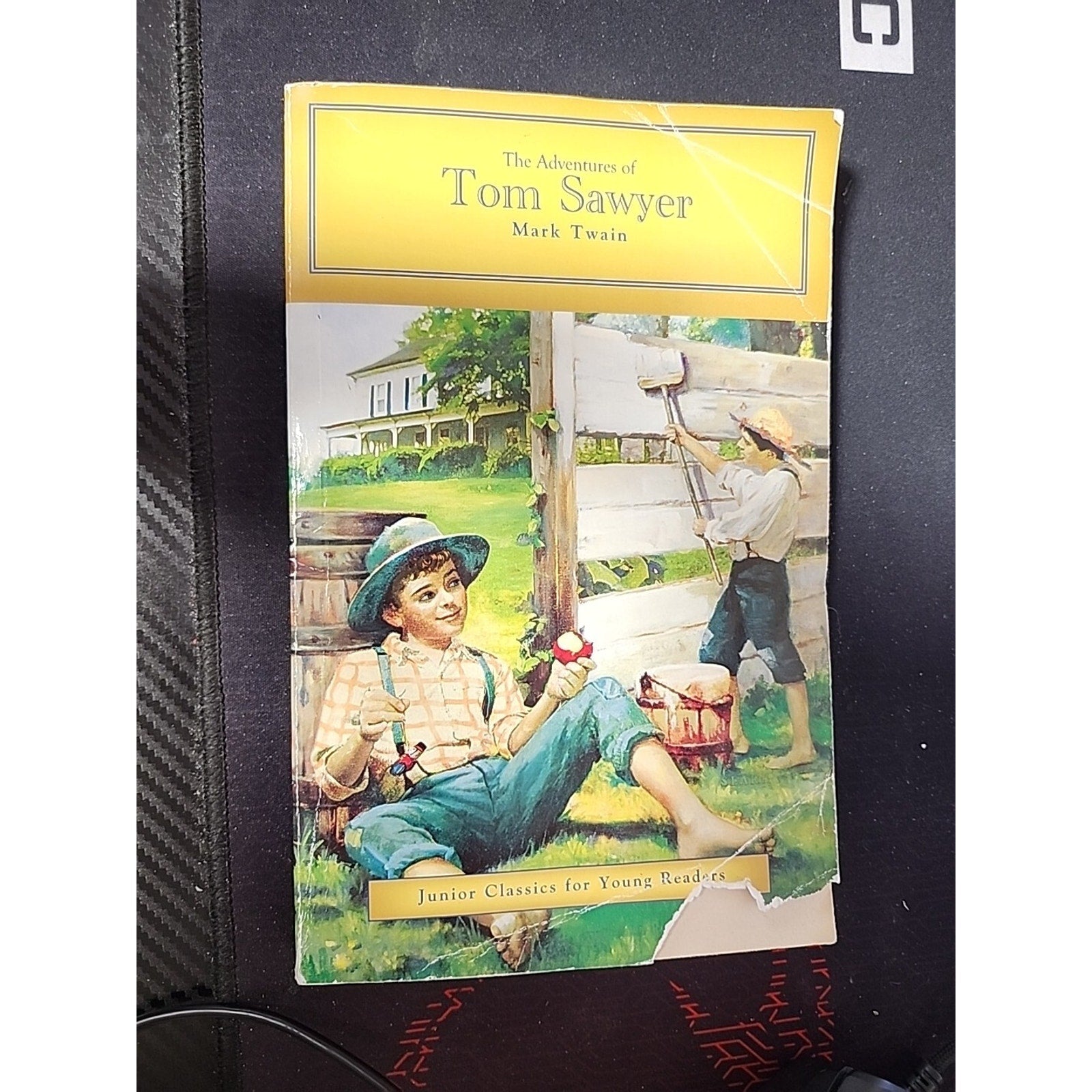 The Adventures of Tom Sawyer Book By Mark Twain~ Junior Classics Paperback Kids