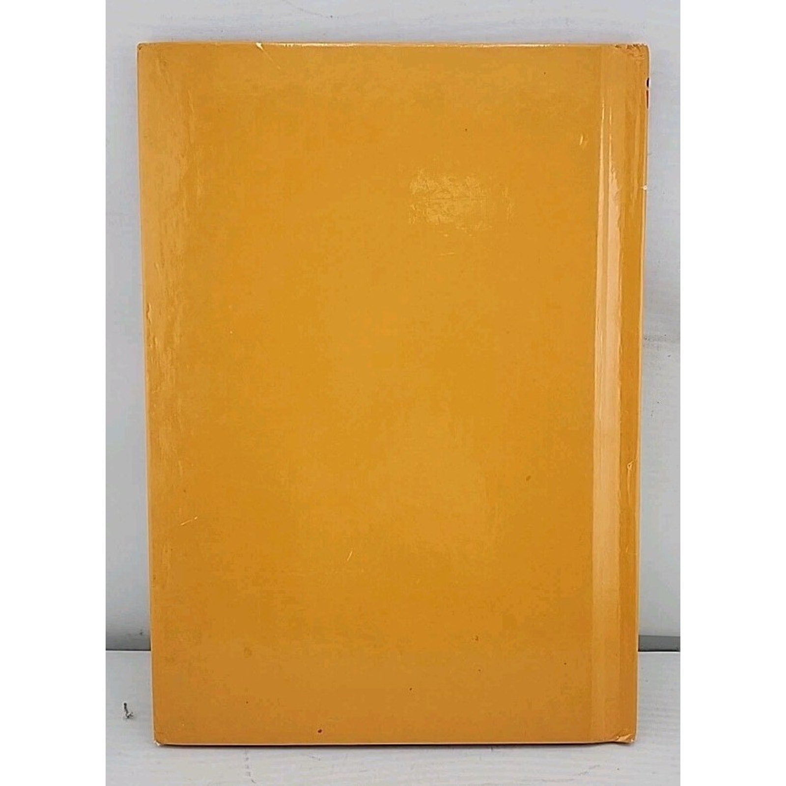 Disney Wonderful World Of Reading HC Book. Lion King