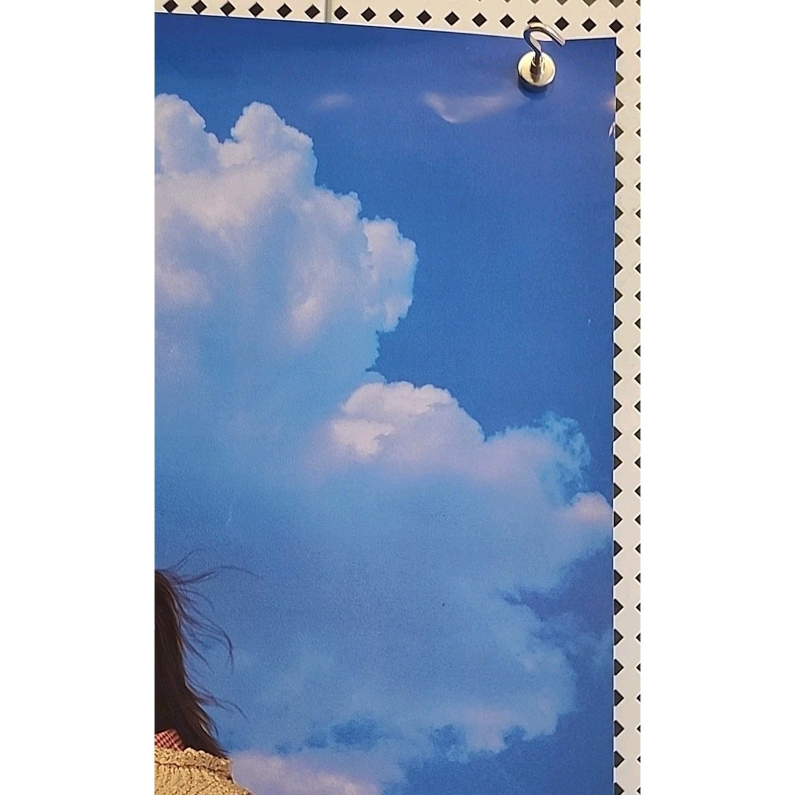 1994 Andre Movie Poster Double Sided Window 40x27