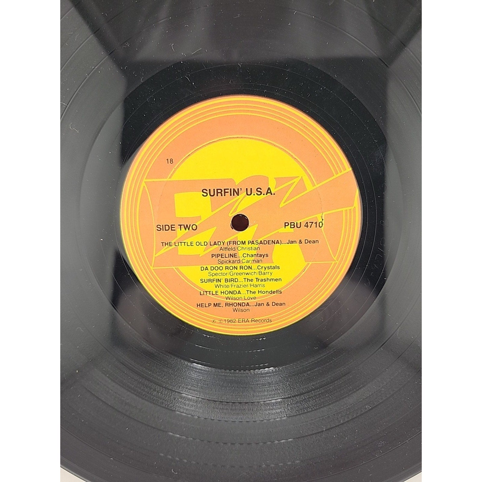 Surfin USA Vinyl Record