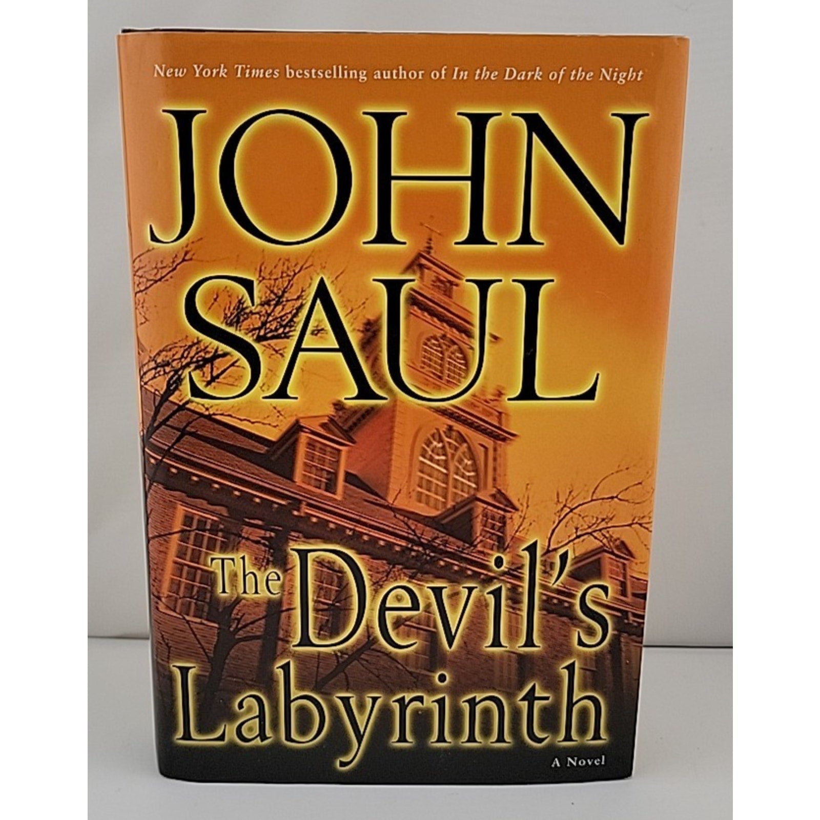 Devil's Labyrinth by John Saul (2007, Hardcover)