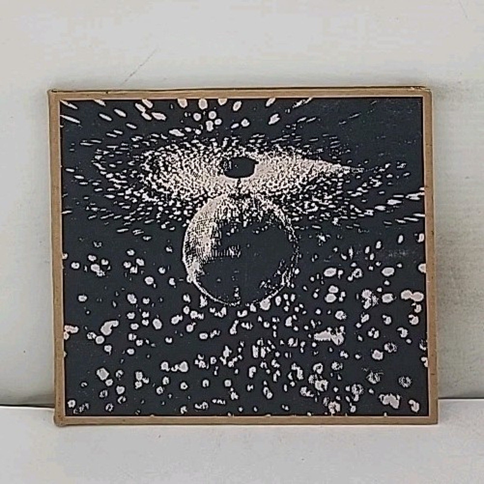 Mirror Ball by Young, Neil / Pearl Jam (CD, 1995)