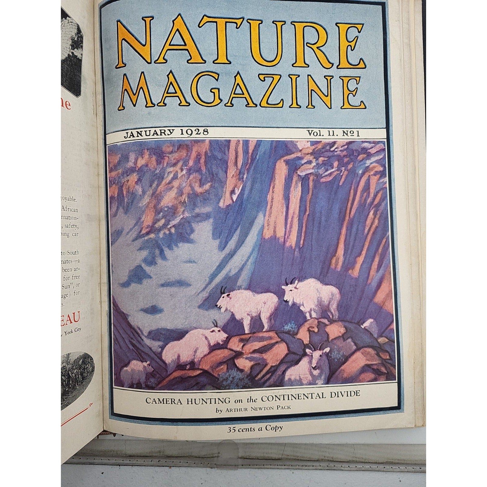 1927 Nature Magazine-12 Months In Embossed Green Leather Album Texas Issue.