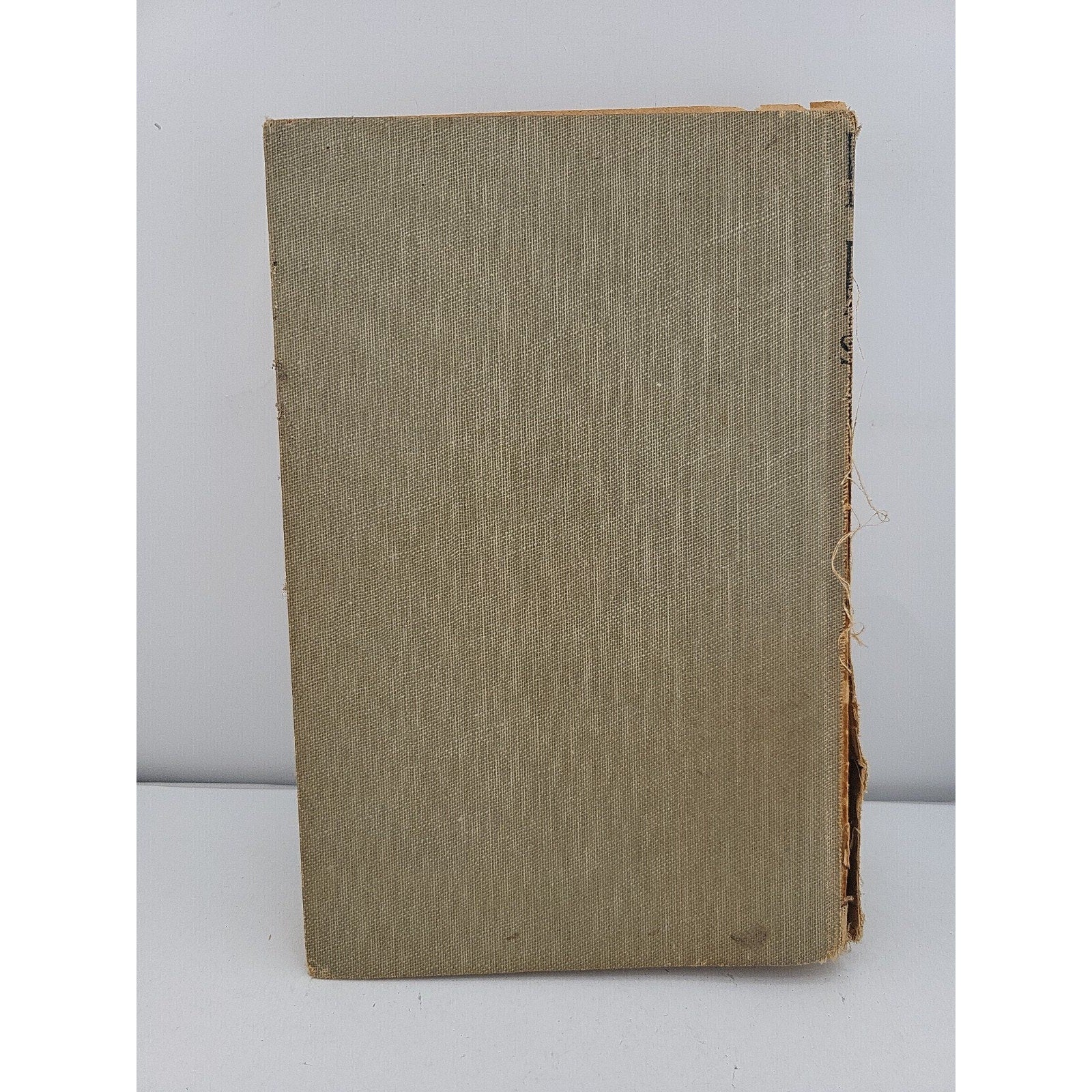 Discarded Daughter Eden Southworth *Missing Dust Jacket*