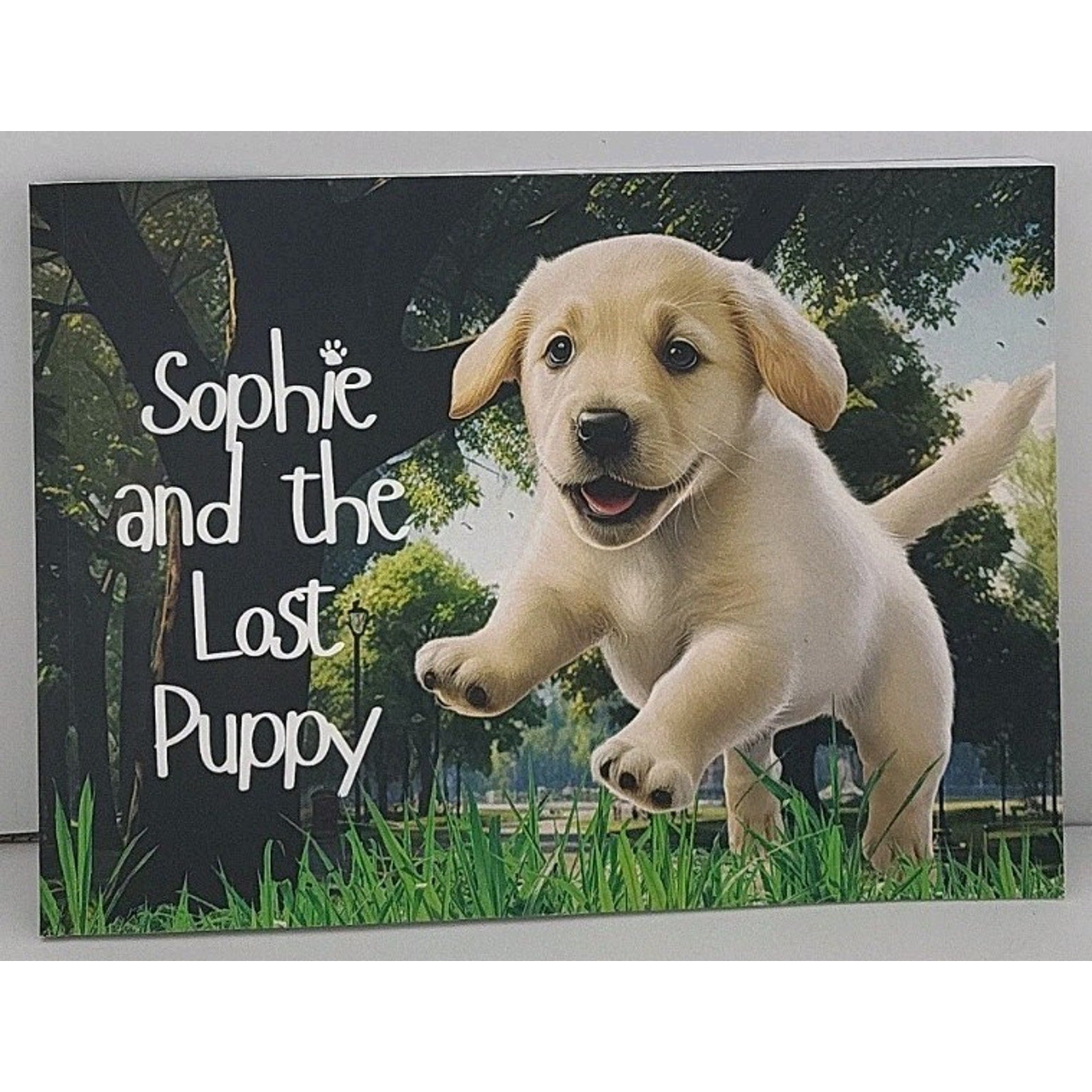 Sophie And The Lost Puppy By Finja Schon