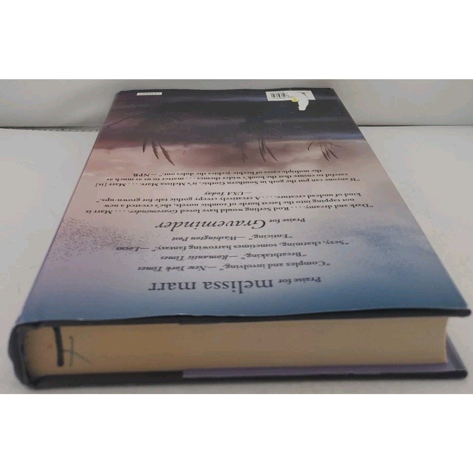 The Arrivals: A Novel by Melissa Marr (Hardcover)