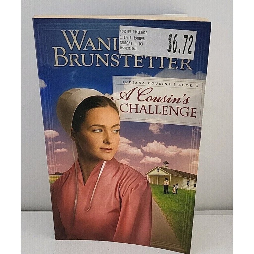 Cousin's Challenge by Wanda E. Brunstetter (2010, Trade Paperback)