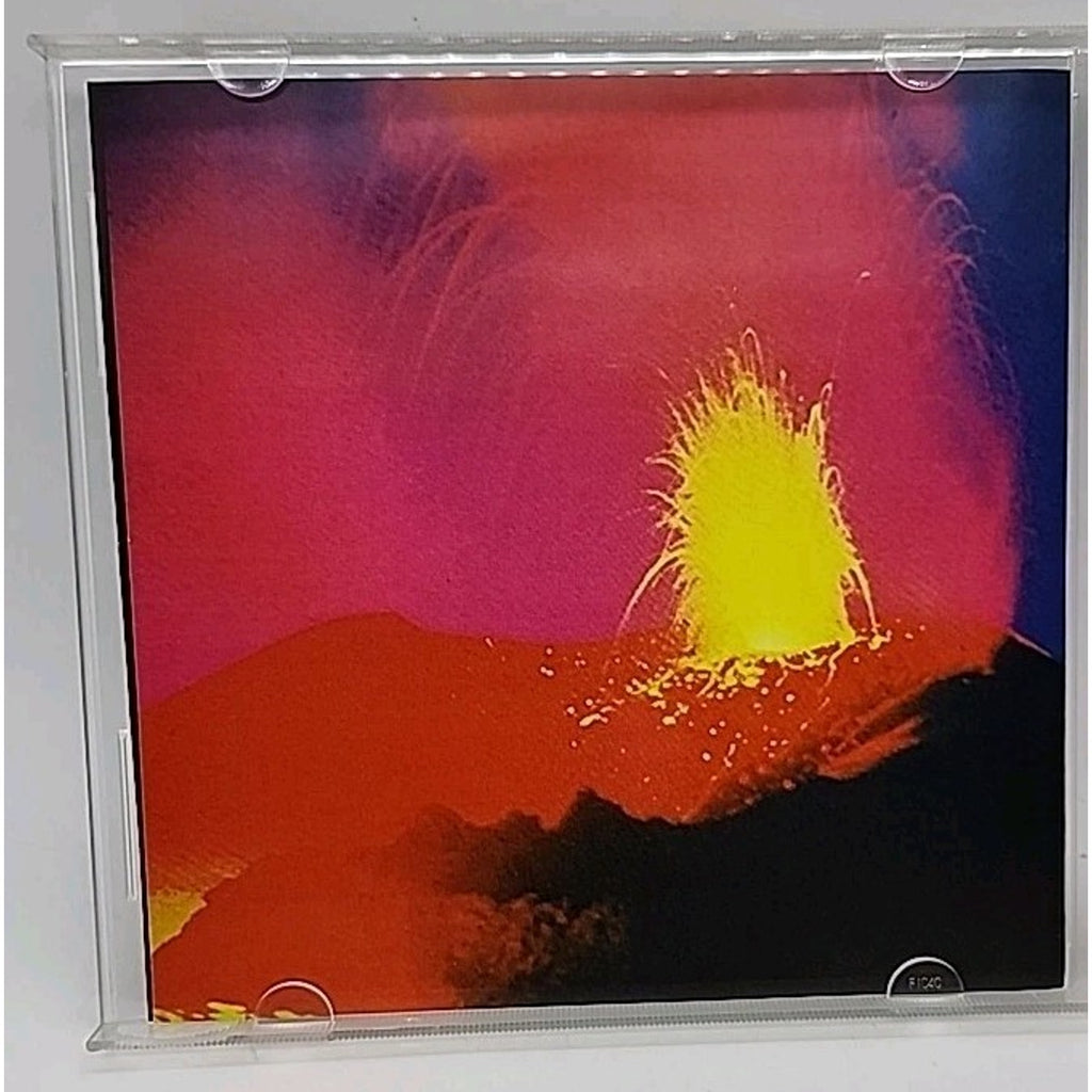 Brickburner The Future Doesn't Need Us (CD)