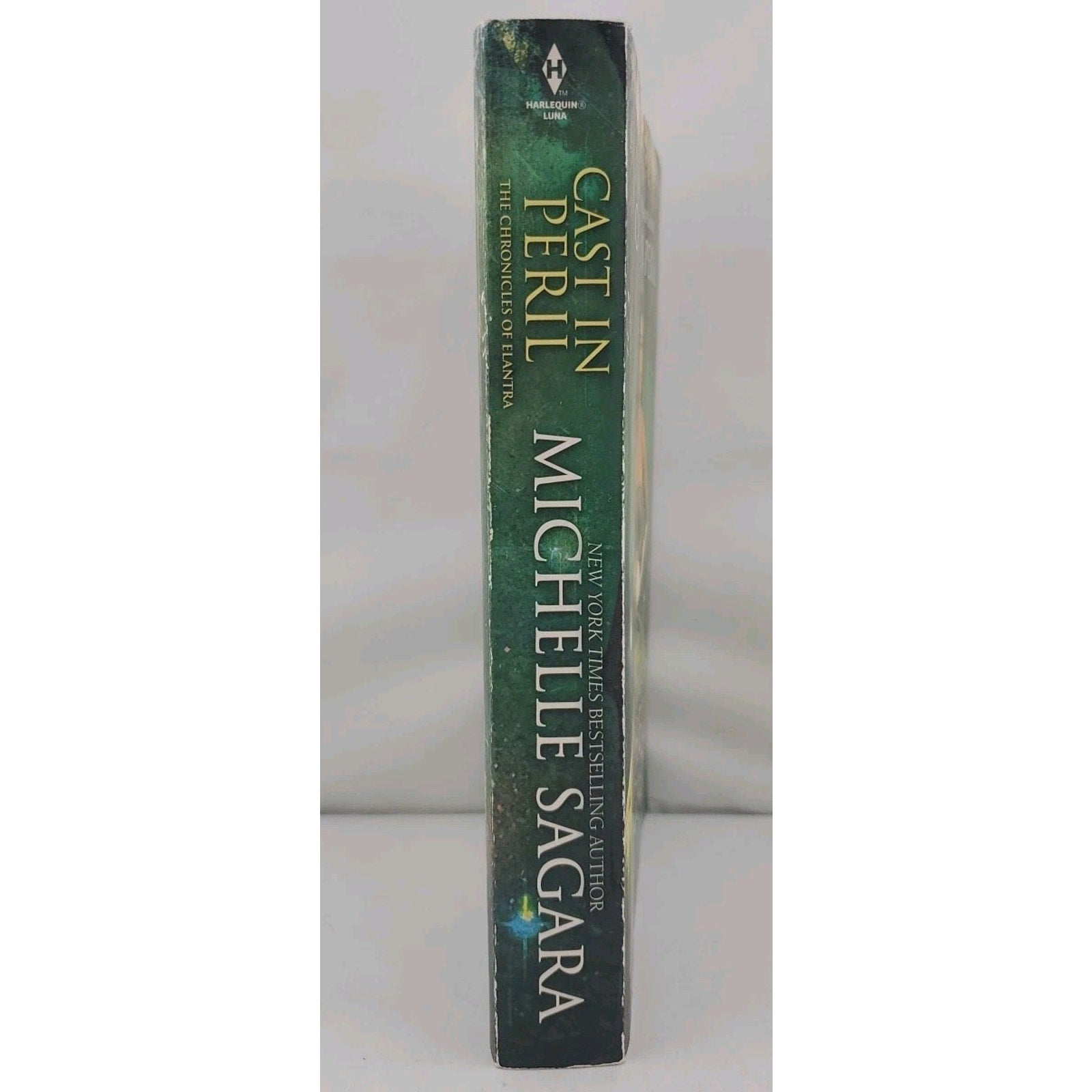 Cast in Peril by Michelle Sagara (2012, Trade Paperback)