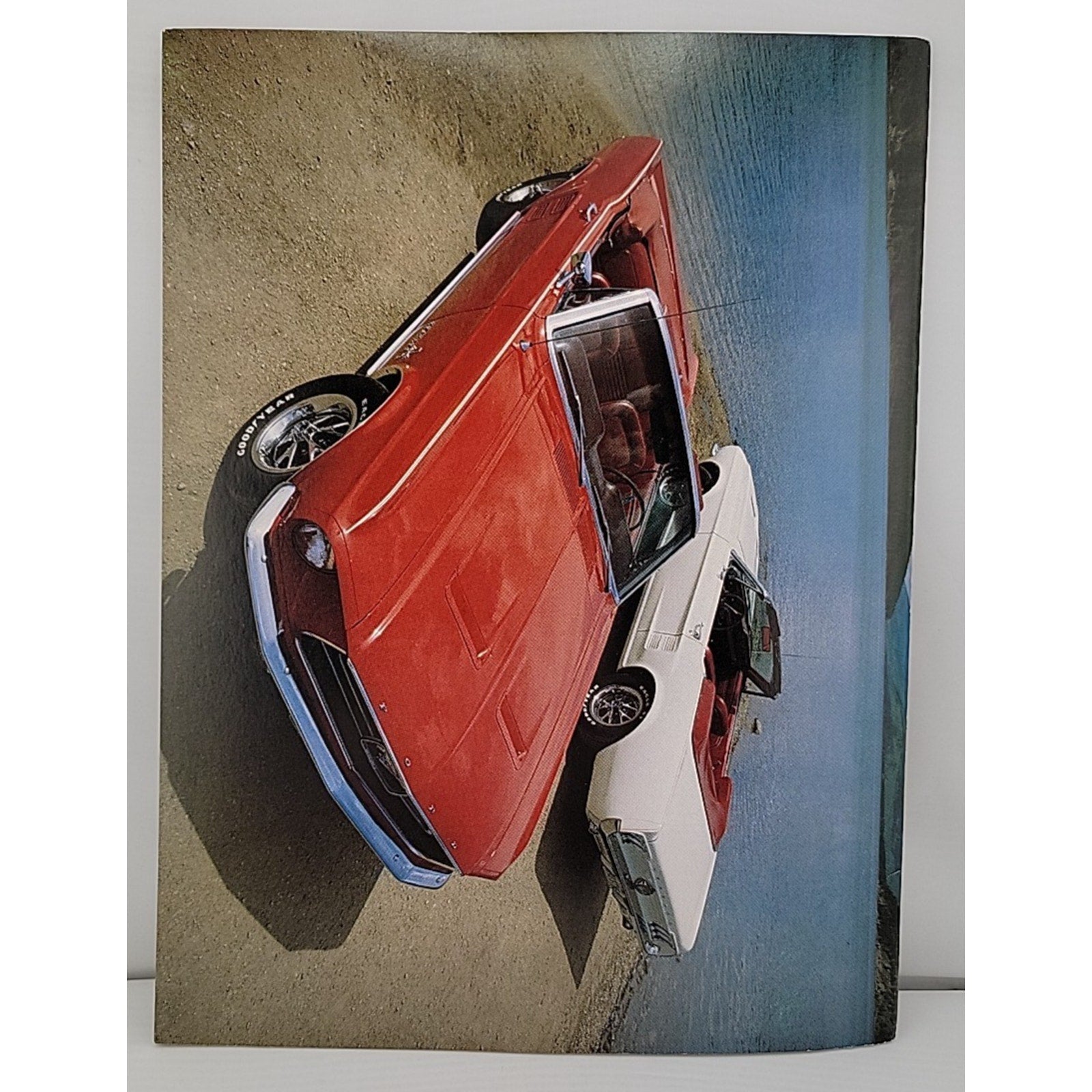 Mustang Times November 1989 Magazine