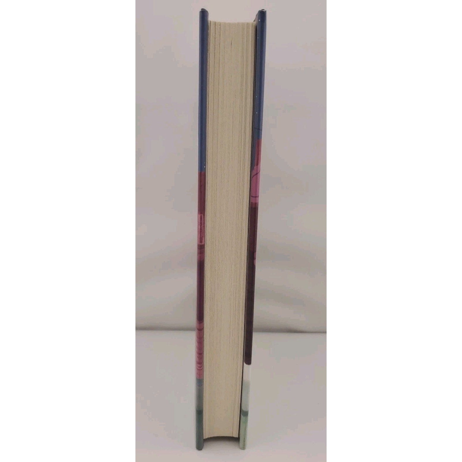 Frankie and Bug by Gayle Forman (2021, Hardcover)