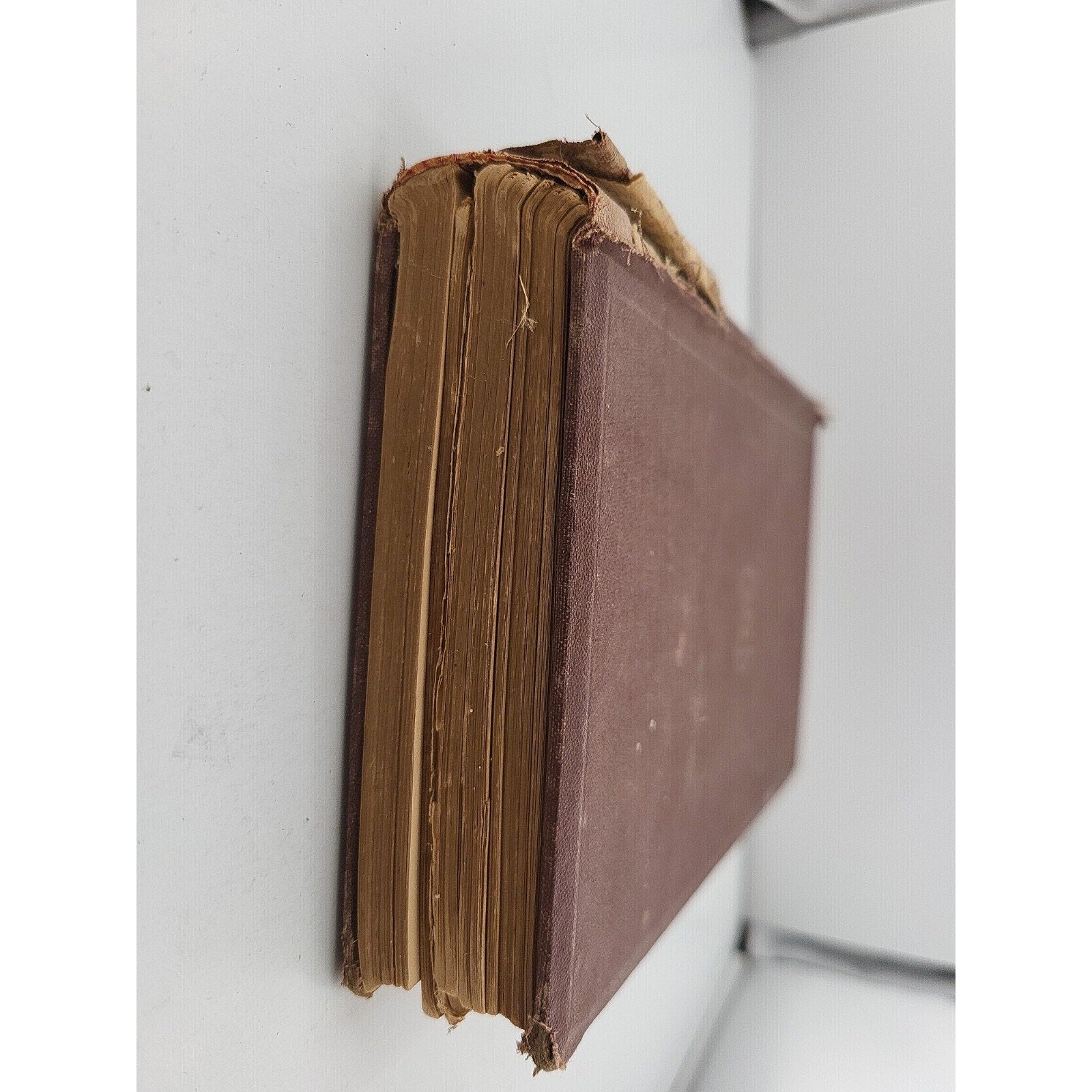 An American Family In Germany By J. Ross Browne
