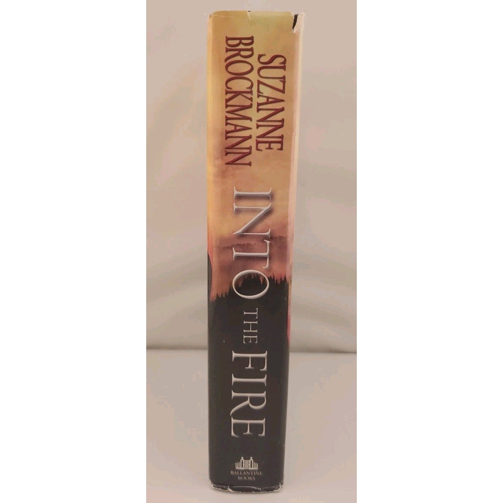 Into the Fire by Suzanne Brockmann (2008, Hardcover)