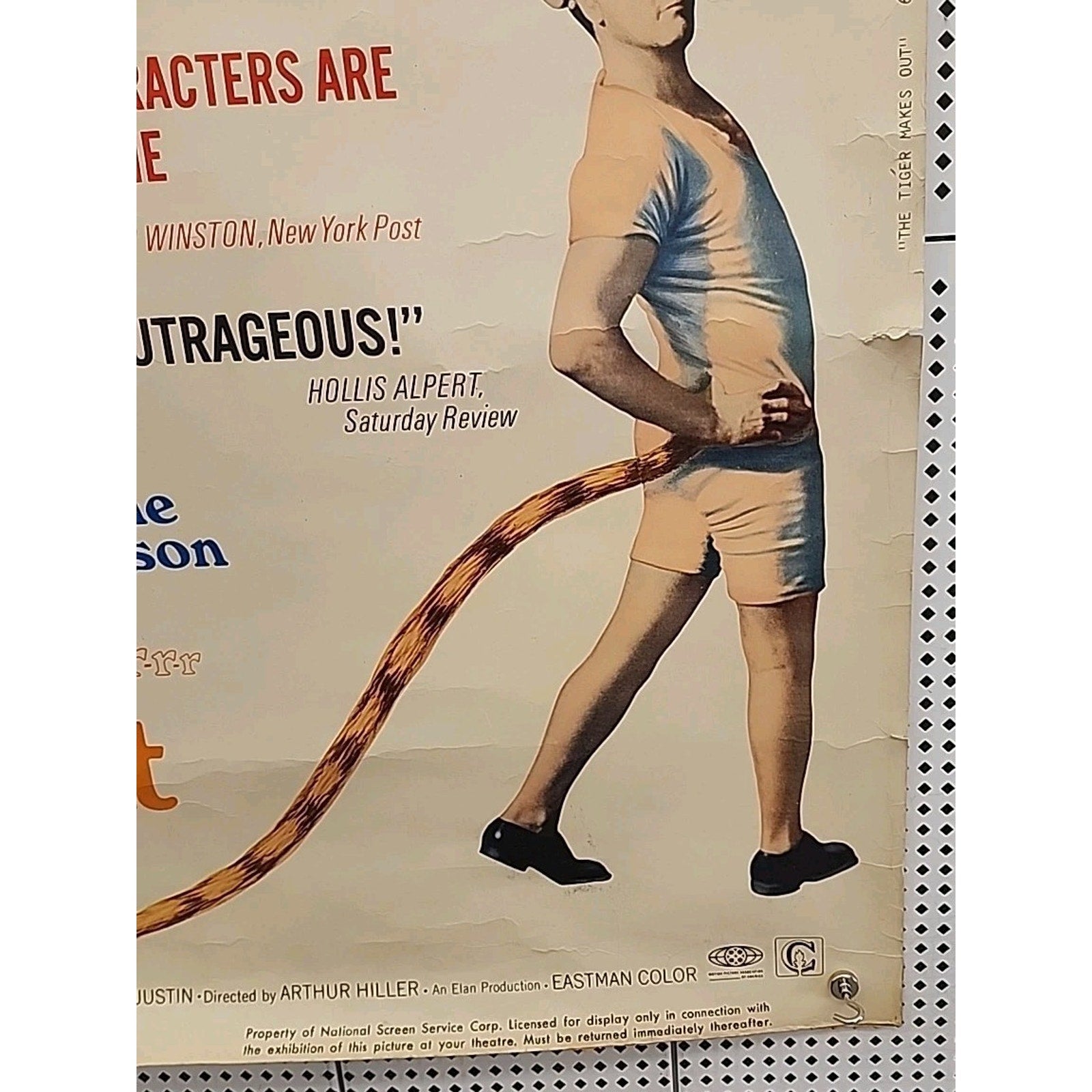 The Tiger Makes Out Movie Poster 30x40