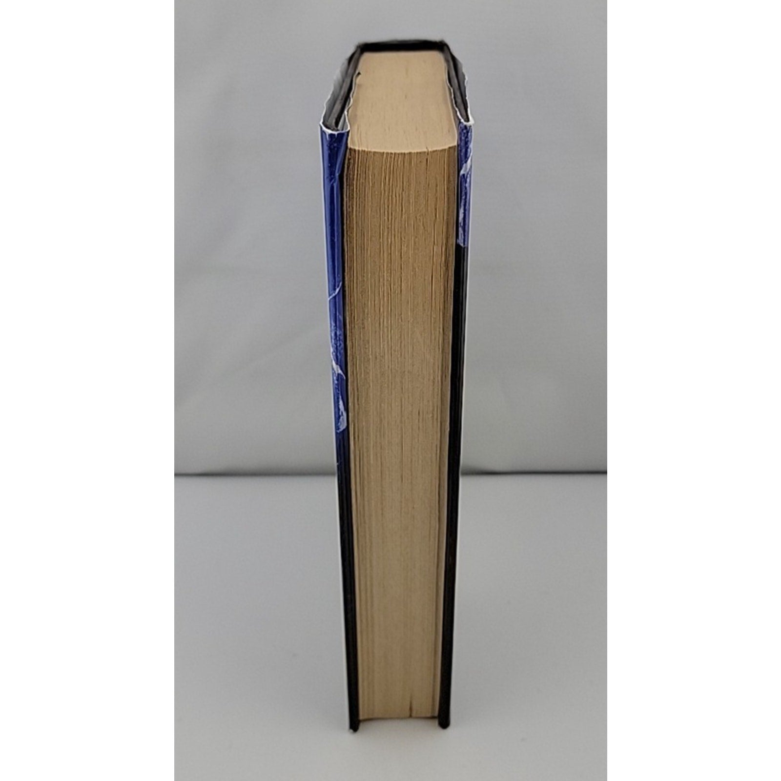Deception by Randy Alcorn (2007, Hardcover)