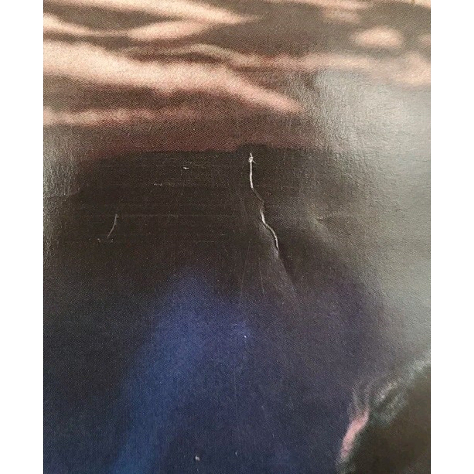Dinosaur 2000 Walt Disney Animation Studios Movie Poster Flyer 27x40