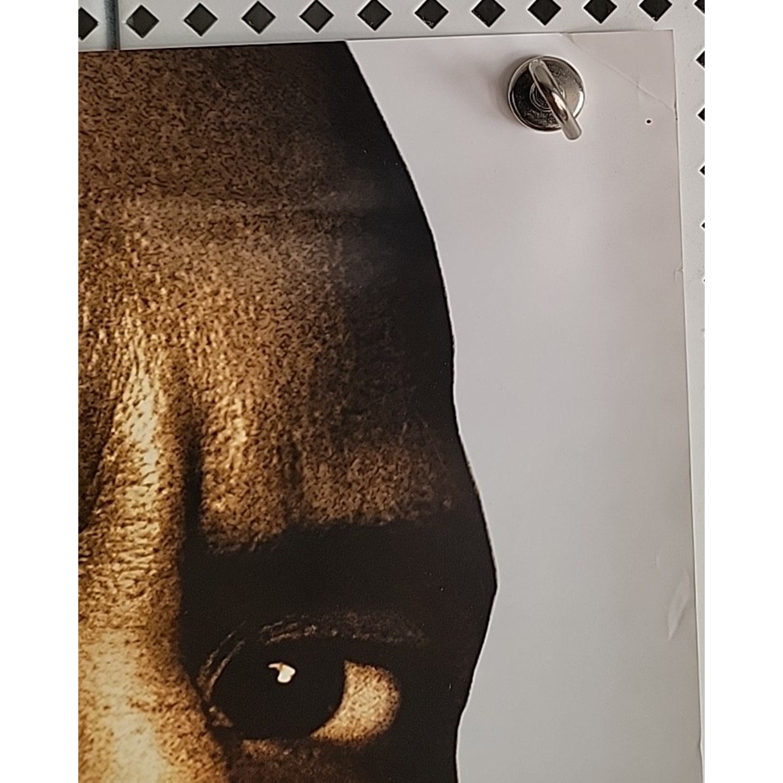Gridiron Gang Movie Poster 27x40