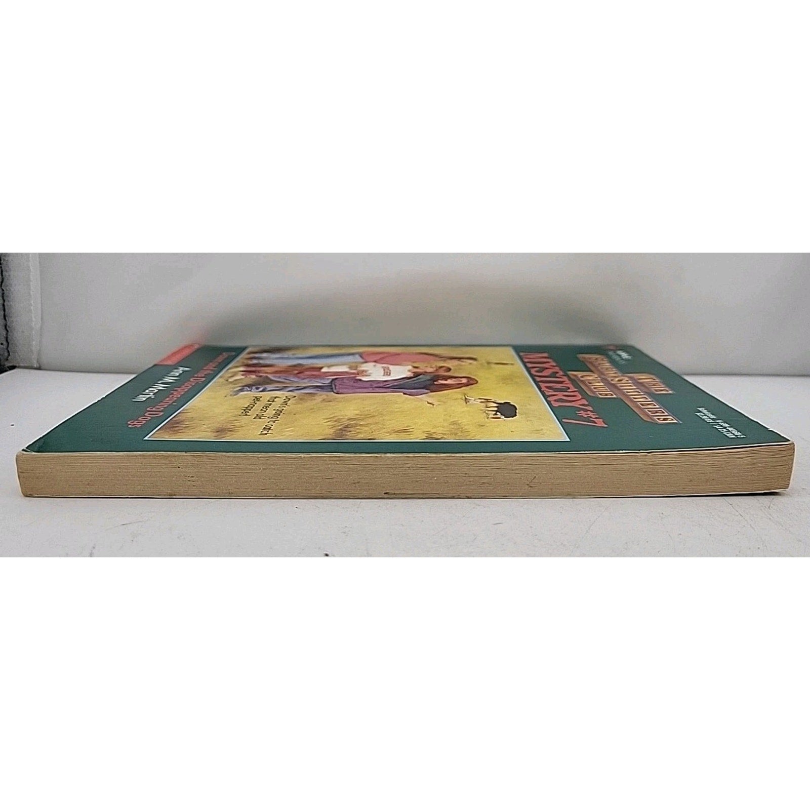 Dawn and the Disappearing Dogs by Ann M. Martin (1993, Trade Paperback)