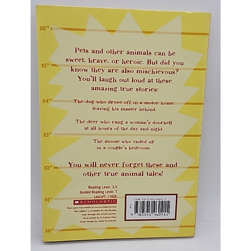 Bad Pets : On the Loose! by Allan Zullo (Trade Paperback)