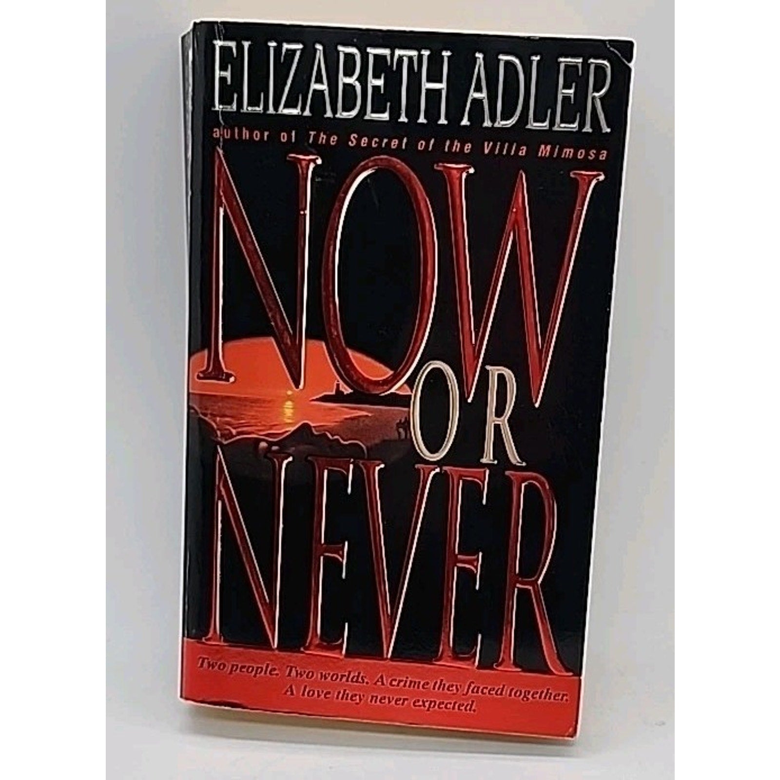 Now or Never : A Novel by Elizabeth Adler (1997, Mass Market)