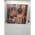 Simple Dreams by Linda Ronstadt (Record)