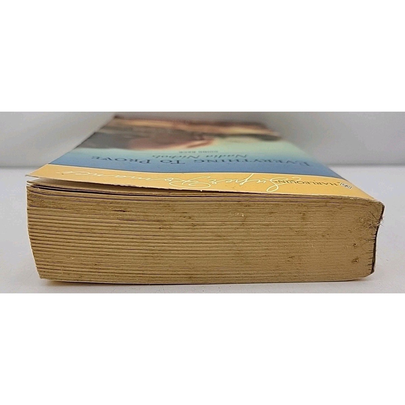 Everything to Prove by Nadia Nichols (2006, Larger Print)