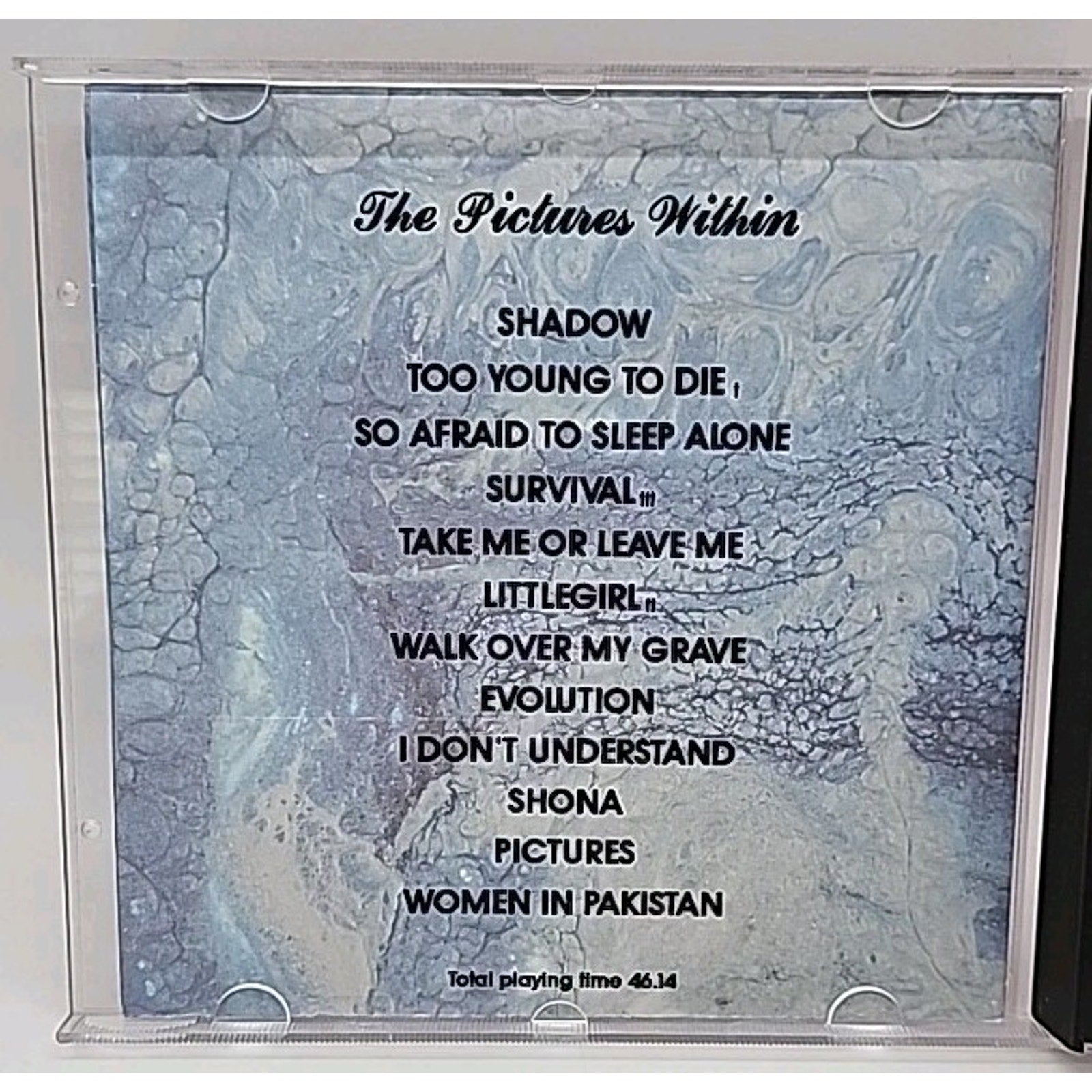 Pictures Within by Maryen Cairns (CD, Apr-1992, Progressive)