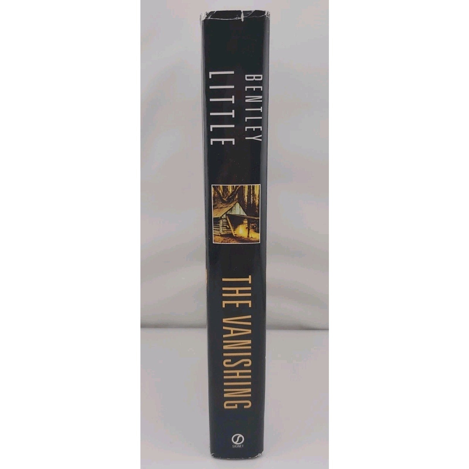 The Vanishing by Bentley Little (2007, Hardcover)