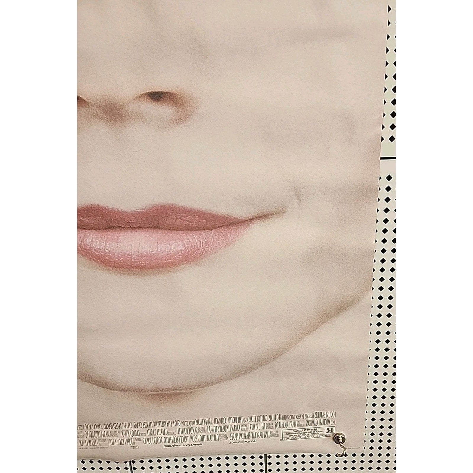 2003 Original Double Sided Sylvia Movie Poster 40” X 27” Sylvia Plath