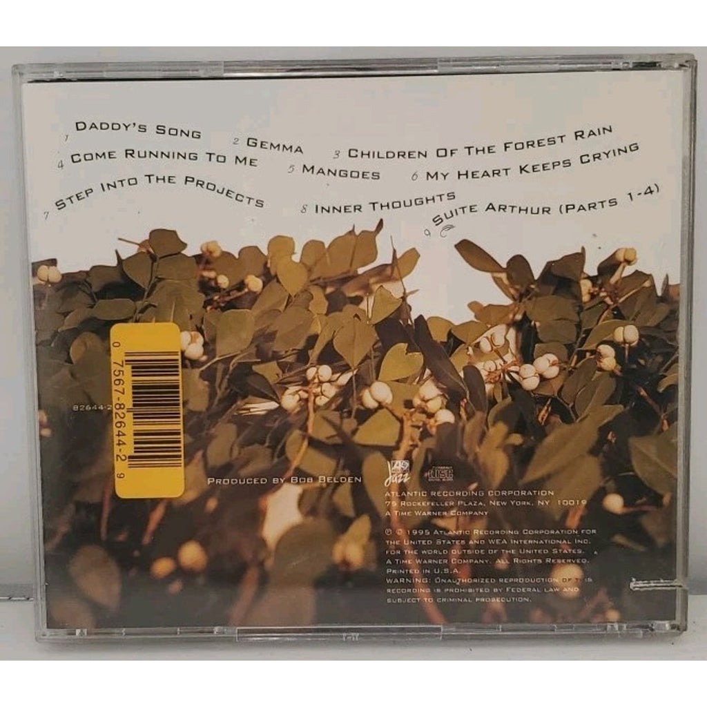 Dance of the Forest Rain by Straight Ahead (CD, Feb-1995, Atlantic (Label))