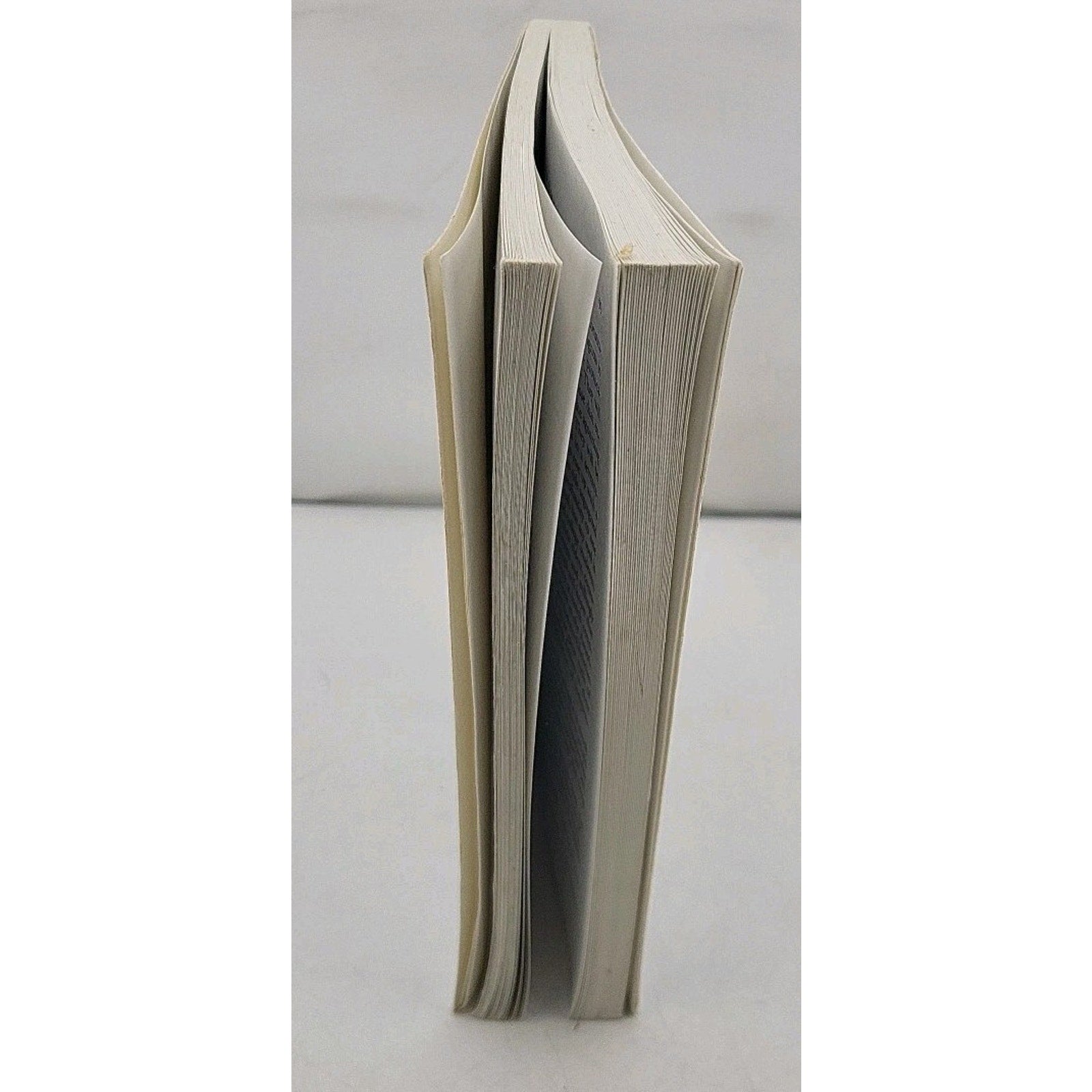Seagull Reader : Essays by Joseph Kelly (2002, Trade Paperback)
