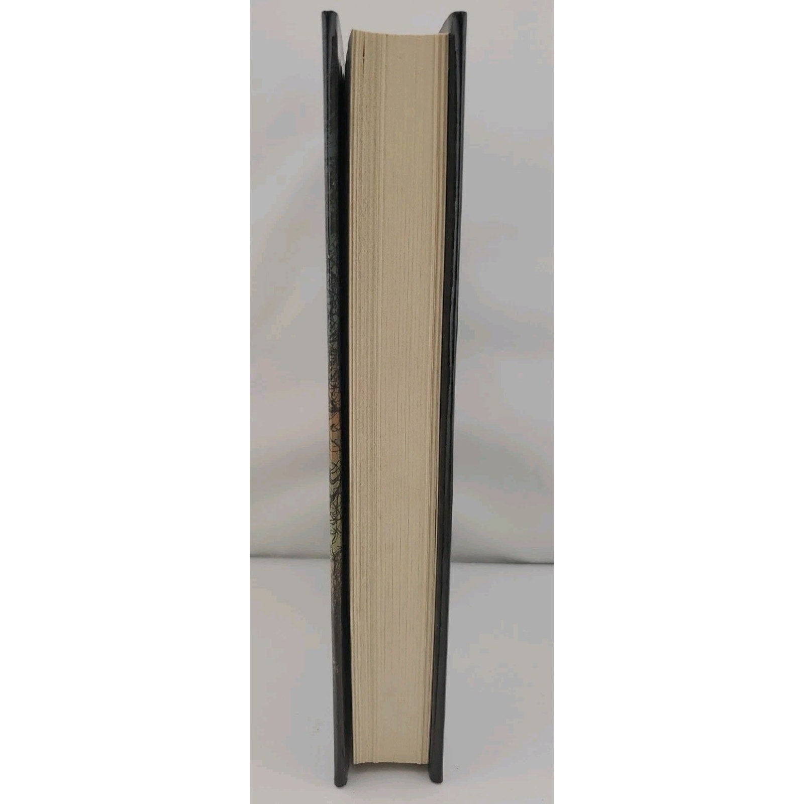 Chasing the Night by Iris Johansen (2010, Hardcover)