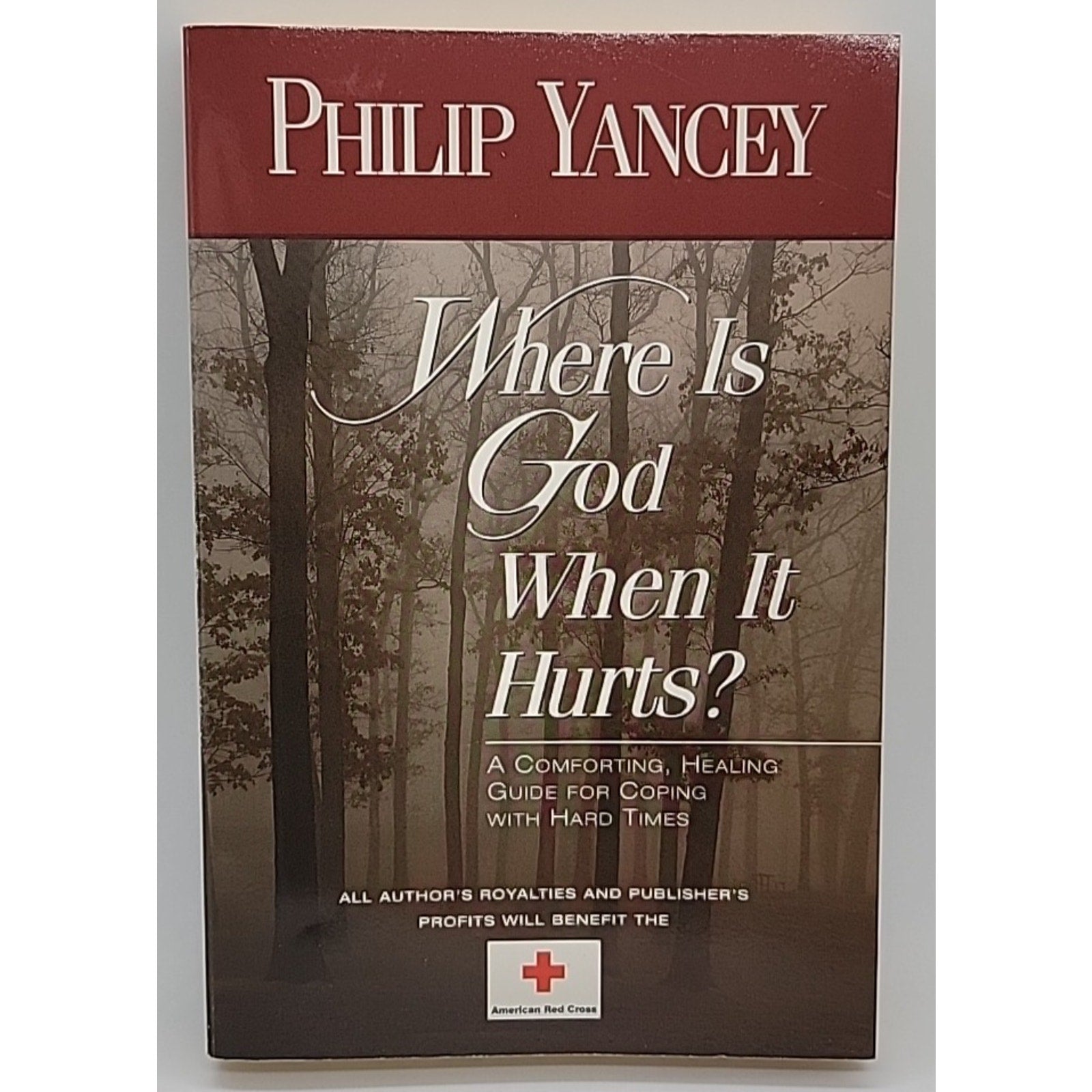 Where Is God When It Hurts? by Philip Yancey (2001, Trade Paperback)