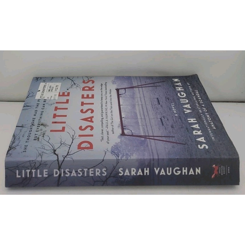 Little Disasters : A Novel by Sarah Vaughan (2020, Trade Paperback)