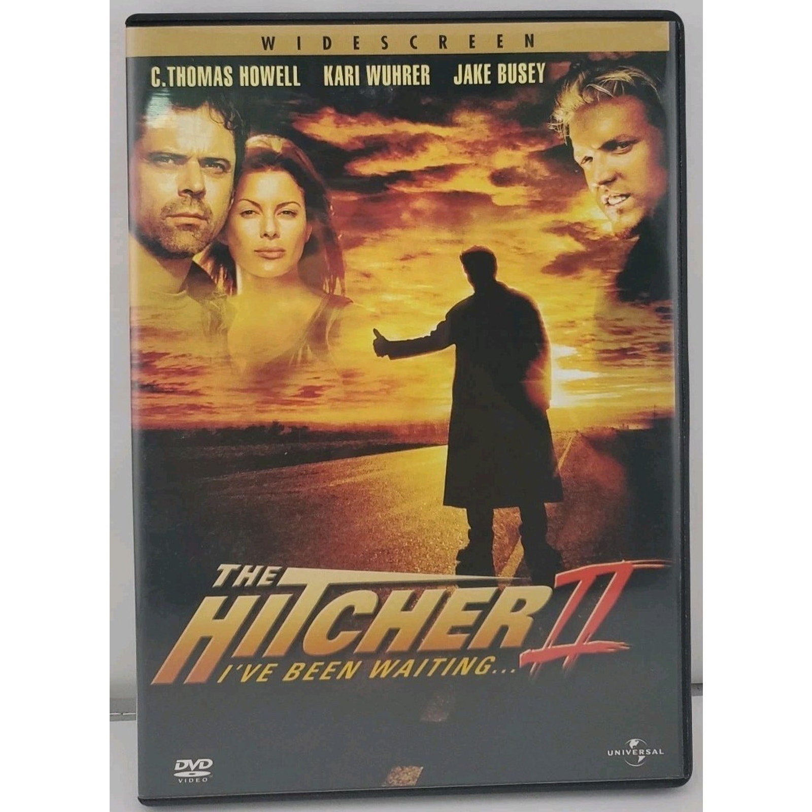 The Hitcher II: I've Been Waiting (DVD, 2003)