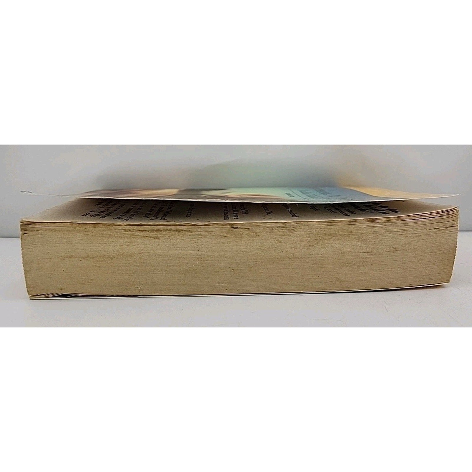 Everything to Prove by Nadia Nichols (2006, Larger Print)