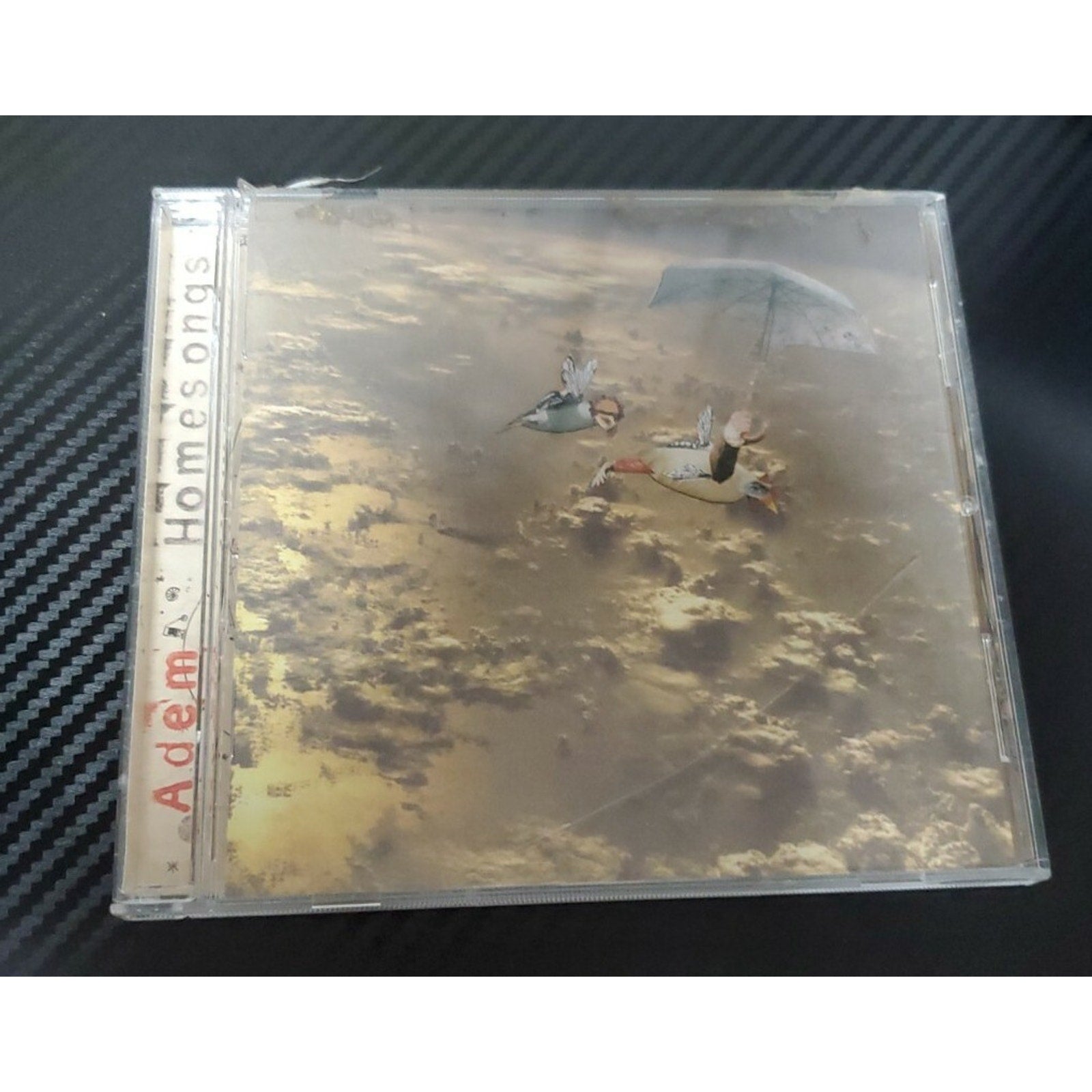 ADEM - HOMESONGS -