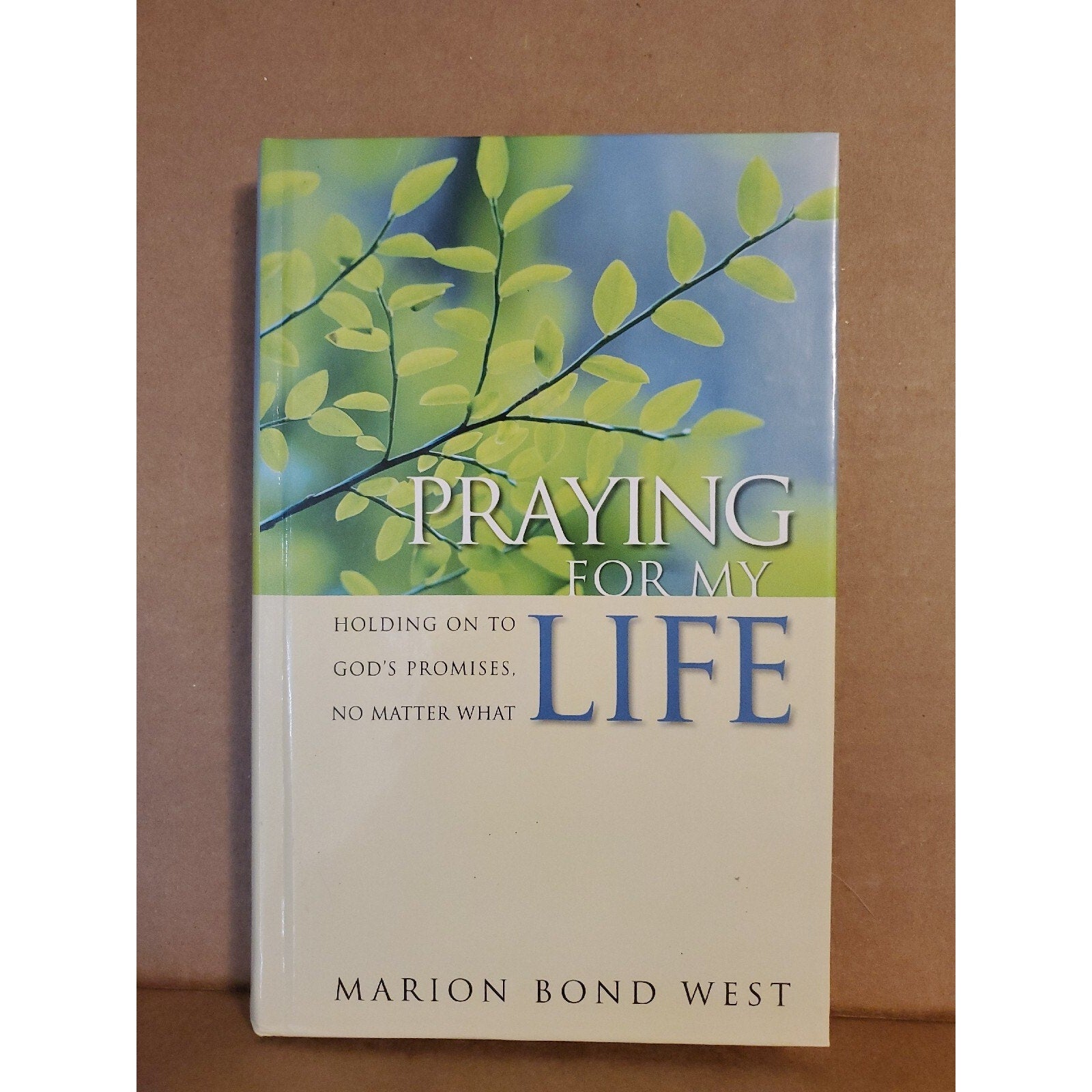 Praying for My Life: Holding on to God's Promises, No Matter What [Hardcover]
