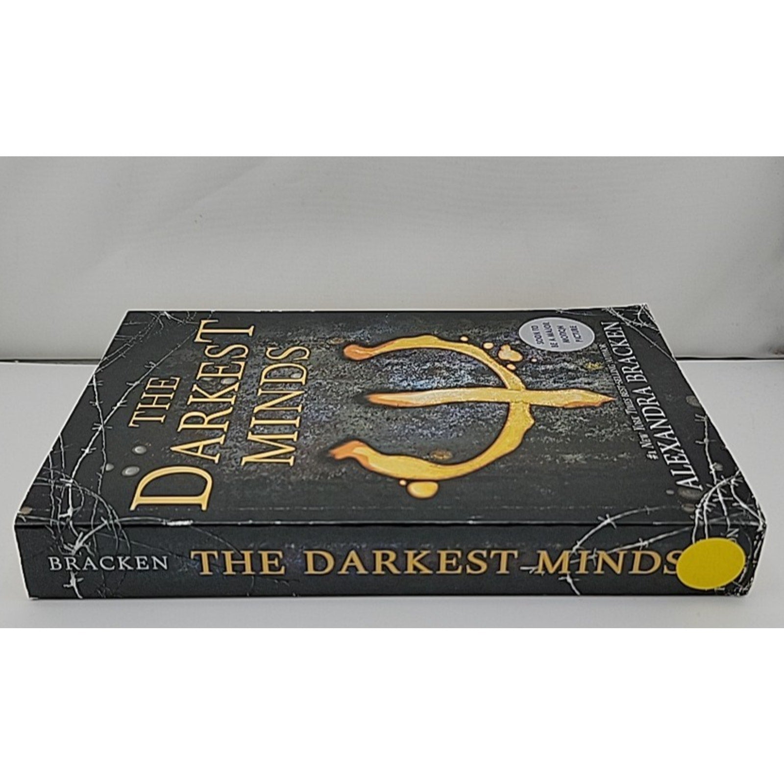 Darkest Minds by Alexandra Bracken (2013, Trade Paperback)